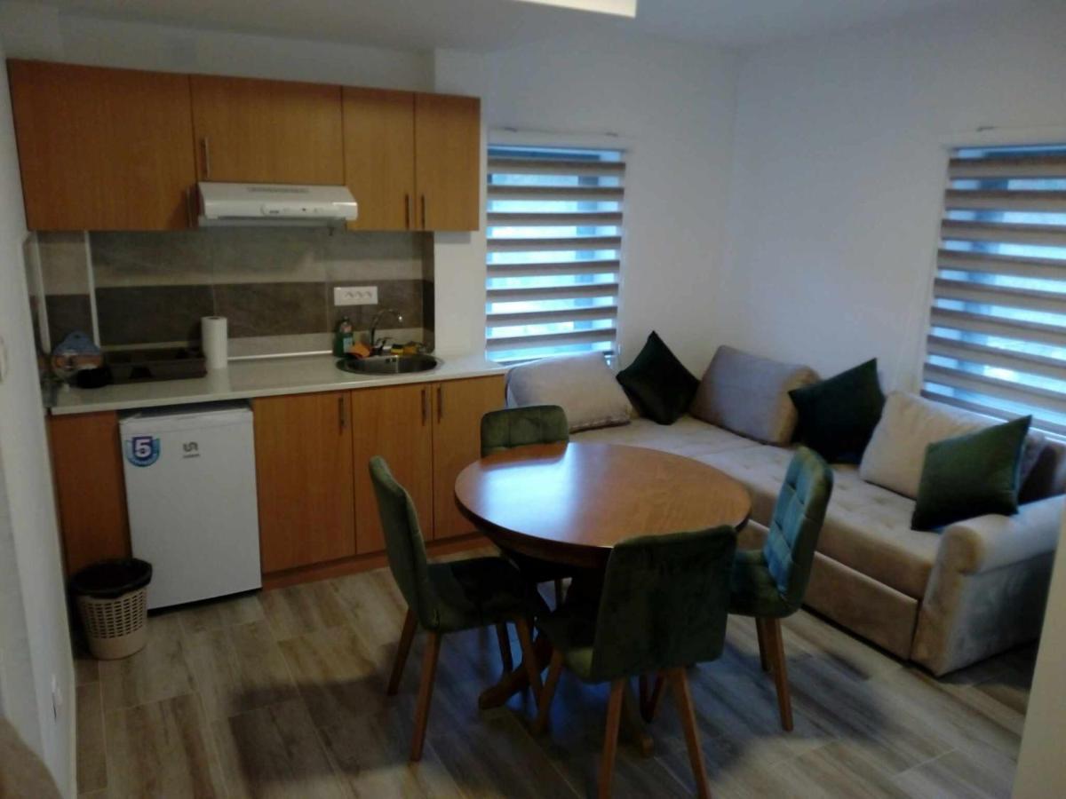 Std Cvetkovic Bed & Breakfast Crni Vrh Екстериор снимка